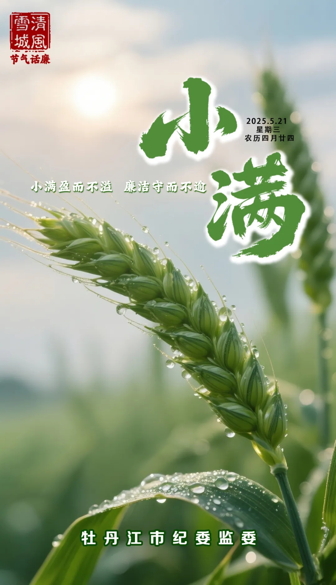9f1e3802a28bab8b.jpg